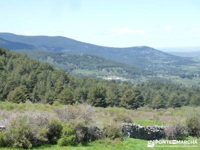 El pinar del Puerto de Navafría;circo de gredos;rutas toledo;rio guadarrama